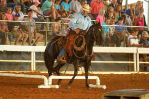 Josh Peebles of All Purpose Horsemanship in Young Harris, Ga., competes on his assigned Mustang, Shorty, during the Extreme Mustang Makeover that took place in Gainesville, Ga., earlier this year. (Photo: Jill Monroe Photography)