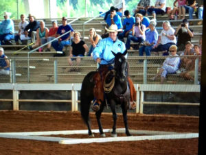 Josh Peebles with his assigned Mustang, "Shorty," at the 2015 Extreme Mustang Makeover challenge in Gainesville, Ga. Josh serves the public with his training business out of Young Harris, Ga. (Photo: Jill Monroe Photography)