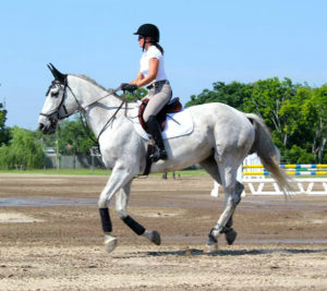 Amanda Silvers has recently started getting serious about showjumping.