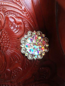 Custom conchos to add a little sparkle to Western tack.