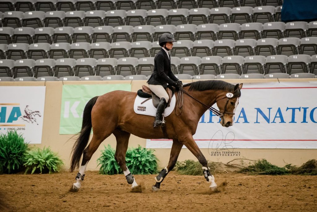 SCAD's Meredith Denny representing the team in intermediate over fences.