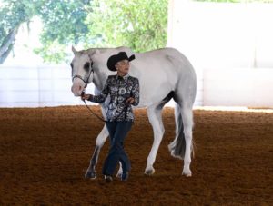 Abbey Turner shows "HR Zip Me" at this year's Pinto World Show in Tulsa, Oklah. (Photo by Melinda Davison)