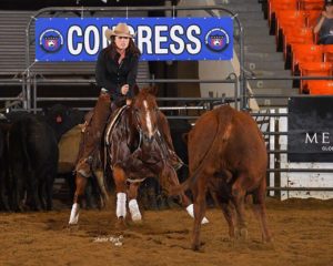 Southeastern exhibitors earned Congress’ top honors